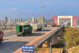 Aumenta número de empresas con acceso a trámites aduaneros en Quang Ninh