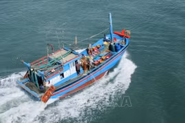 📝 Enfoque: Vietnam por levantar “tarjeta amarrilla” por CE