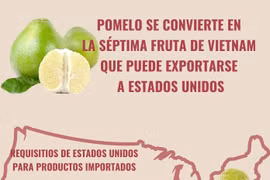 Pomelo se convierte en la séptima fruta de Vietnam que puede exportarse a EE.UU.