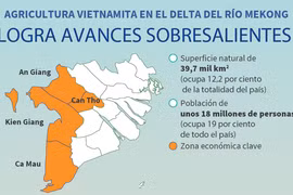Agricultura vietnamita en el delta del río Mekong logra avances sobresalientes