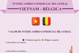 Intercambio comercial bilateral entre Vietnam y Bélgica