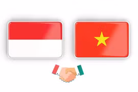 Asociación estratégica Vietnam-Indonesia