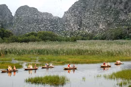 Desarrolla provincia de Ninh Binh turismo con preservación de ecosistema