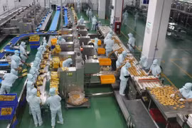Destacan potencial de cooperación agrícola Vietnam-Argentina