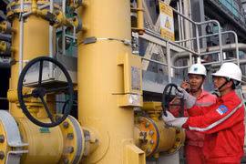 Presentan inversores en proyectos eléctricos en provincia vietnamita