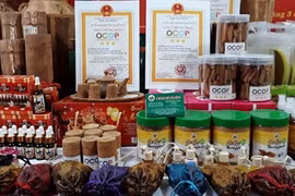 Phu Yen desarrolla productos OCOP asociados con pueblos artesanales