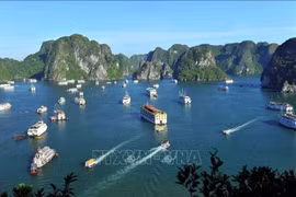 Bahía de Ha Long- archipiélago de Cat Ba reconocido como patrimonio mundial 