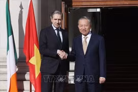 El secretario general del Partido Comunista de Vietnam y presidente del país, To Lam, y el primer ministro irlandés, Simon Harris. (Fuente:VNA)