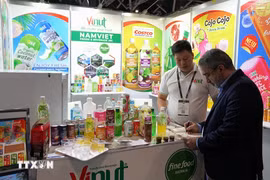 Visitantes en el pabellón vietnamita en una feria (Fuente:VNA)