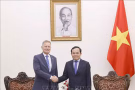Vicepremier vietnamita recibe a gerente de grupo danés LEGO. (Fuente:VNA)