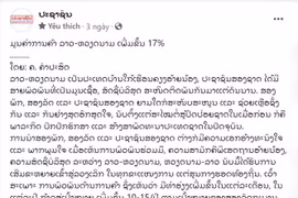 El periódico electrónico Pasaxon, portavoz del Partido Popular Revolucionario de Laos, publica artículos destacando las relaciones tradicionales entre Laos y Vietnam. (Fuente:VNA)