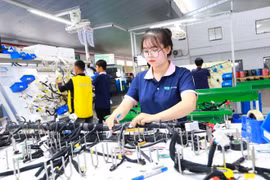 Foto de ilustración. (Fuente:laodong.vn)