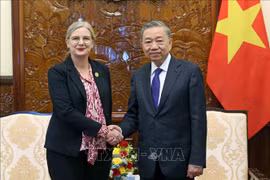 El presidente To Lam recibe a la embajadora de Suecia en Vietnam, Ann Mawe. (Fuente:VNA)