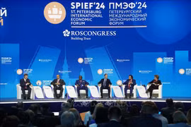 Panorama del 27º Foro Económico Internacional de San Petersburgo. (Fuente:VNA)