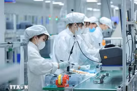 Vietnam impulsa formación de recursos humanos para industria de semiconductores y tecnologías digitales. (Fuente: VNA)