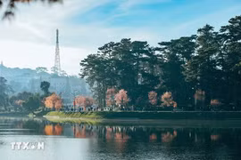 Da Lat entre destinos turísticos más baratos de Asia