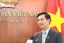 El embajador de Vietnam en Malasia, Dinh Ngoc Linh. (Fuente: VNA)