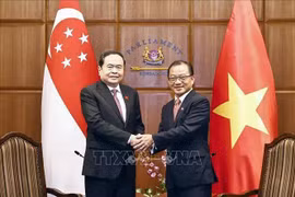 El presidente de la Asamblea Nacional de Vietnam, Tran Thanh Man (izquierda), y su homólogo singapurense, Seah Kian Peng. (Fuente: VNA)