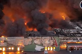 Cientos establecimientos de vietnamitas afectados por incendio en centro comercial polaco. (Fuente:VNA)