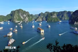 Bahía de Ha Long y Sa Pa entre los cinco destinos de tendencia mundial