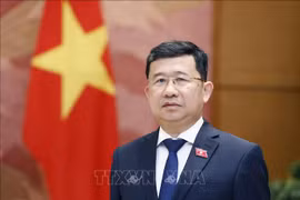 El jefe de la Comisión de Relaciones Exteriores de la Asamblea Nacional (Parlamento) de Vietnam, Vu Hai Ha. (Fuente: VNA)