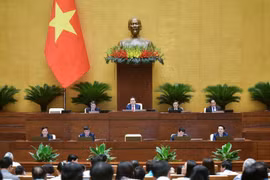 Parlamento de Vietnam prosigue interpelación sobre cuestiones importantes. (Fuente:VNA)