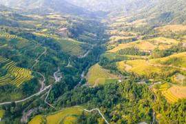 Exploran Ha Giang mediante terrazas de arroz de Hoang Su Phi