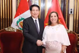 La presidenta de Perú, Dina Ercilia Boluarte Zegarra, y su homólogo vietnamita, Luong Cuong. (Fuente: VNA)