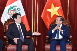 El presidente de Vietnam, Luong Cuong, se reúne con el titular del Congreso de Perú, Eduardo Salhuana. (Fuente: VNA)