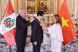 La presidenta de Perú, Dina Ercilia Boluarte Zegarra, condecoró con la Orden "El Sol del Perú", en el grado de Gran Cruz, a su homólogo vietnamita, Luong Cuong. (Fuente: VNA)