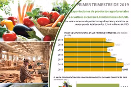 [Info] Exportaciones de productos agroforestales y acuáticos alcanzan 8,8 mil millones de USD
