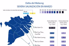 [Info] Delta del Mekong enfrenta su peor salinización en marzo
