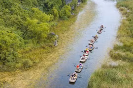 [Foto] Ninh Binh: temporada de aves migratorias en laguna Van Long