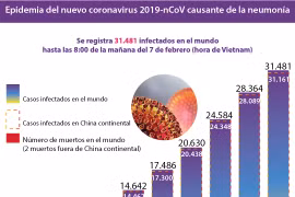 [Info] Epidemia del nuevo coronavirus 2019-nCoV causante de la neumonía 