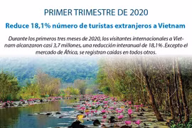 [Info] Reducen 18,1% número de turistas extranjeros a Vietnam 