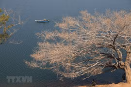 [Foto] Belleza de la provincia central Gia Lai