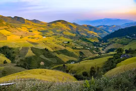[Foto] Diferentes tonos de color amarillo en temporada de cosecha de arroz en Mu Cang Chai 