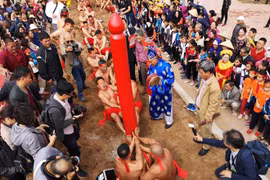 [Fotos] Juego de la soga en postura sentada, peculiaridad del festival de templo vietnamita