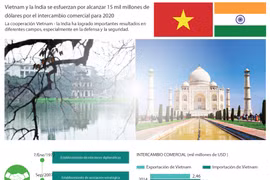 [Info] Vietnam y la India: 15 mil millones de dólares por el intercambio comercial para 2020