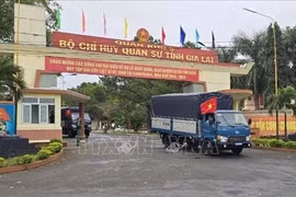 La provincia altiplana de Gia Lai realizó una despedida para el equipo de búsqueda K52 (Fuente: VNA)