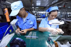 Gran potencial de cooperación comercial entre Vietnam y Chile