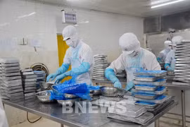Mariscos son una de las principales exportaciones de Vietnam a Perú. (Fuente: VNA)