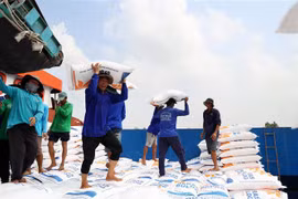 Exportaciones de arroz vietnamita se aproximan a 8,5 millones de toneladas en 11 meses