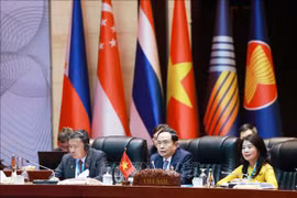Titular del Parlamento vietnamita asiste a reunión del Comité Ejecutivo de AIPA