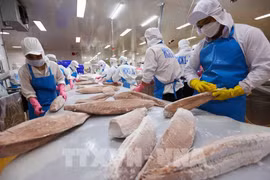 Visita de máximo dirigente de Vietnam a Irlanda abrirá nueva puerta para lazos comerciales