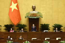 Exigen garantizar profesionalidad en VIII período de sesiones parlamentarias de Vietnam 