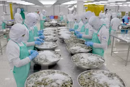 Importadores estadounidenses de mariscos muestran interés en Vietnam