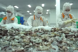 Avizora Vietnam mejores perspectivas para exportaciones de camarón en 2020