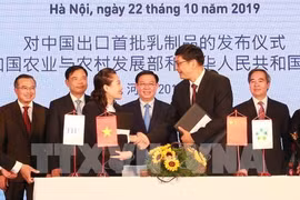 Exporta Vietnam primer lote de productos lácteos a China 