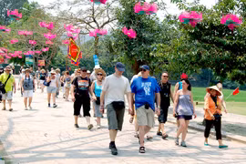 Visitan Vietnam representantes de 40 agencias de viaje europeas para potenciar turismo